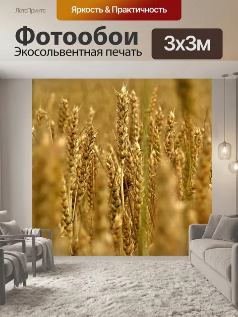 Фотообои Золотая нива