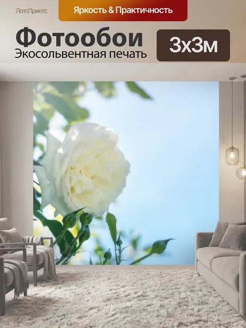Фотообои Роза