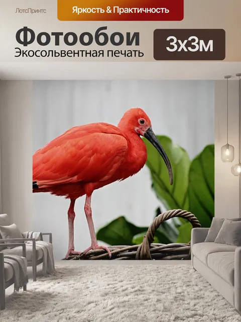 Фотообои Ибис