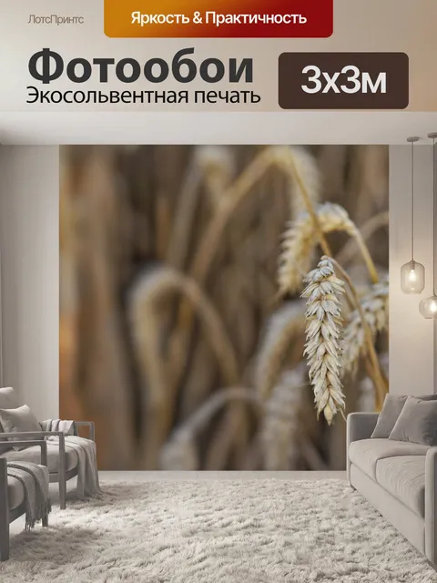 Фотообои Рожь пшеничная урожая ячменя