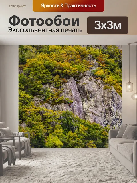 Фотообои Гора и дерево