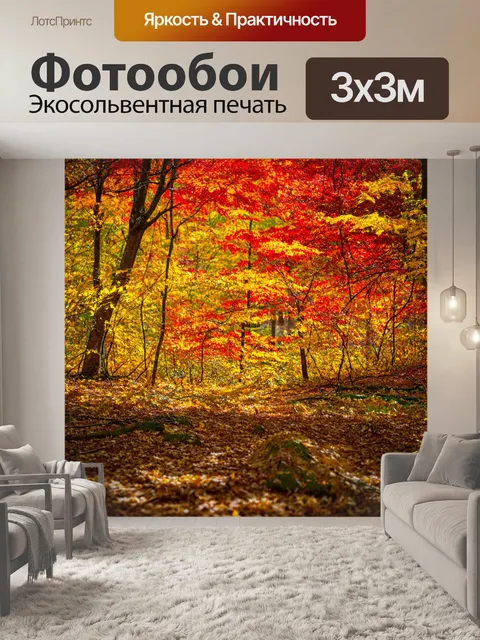 Фотообои осенний лес, лиственные деревья, красные и золотые листья, далекие отголоски жизни, прохлада осени