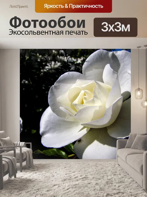 Фотообои Гардения