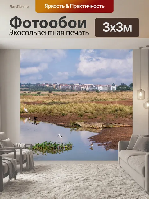 Фотообои Птицы