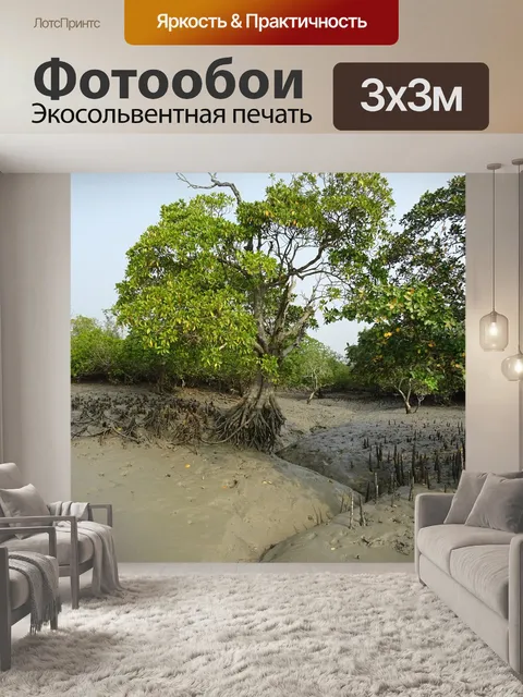 Фотообои Мангровые заросли