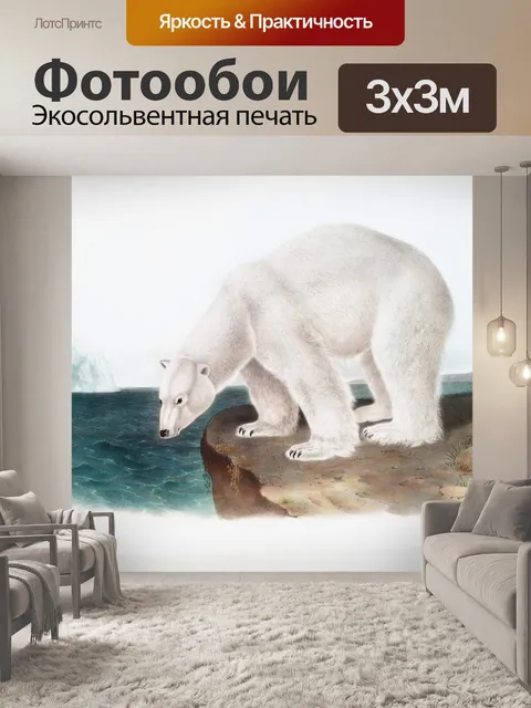 Фотообои Белый медведь полярный медведь северный