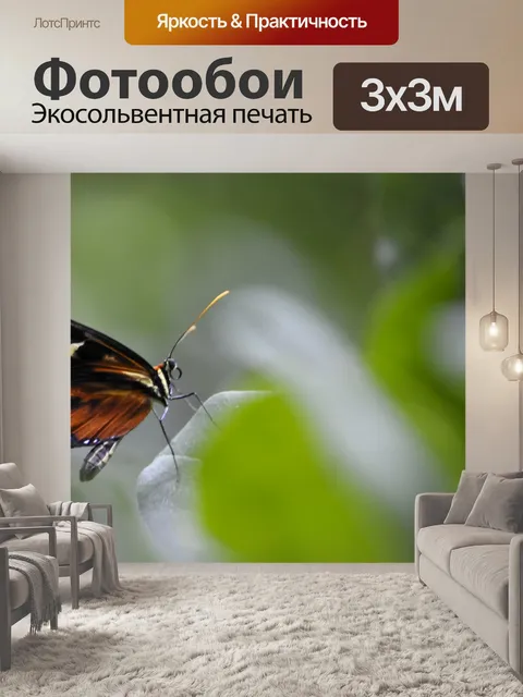 Фотообои Крупным планом бабочка монарх