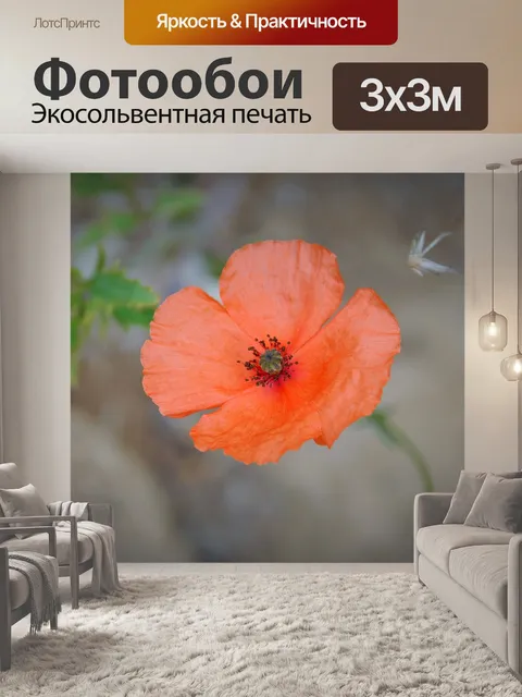 Фотообои Мака