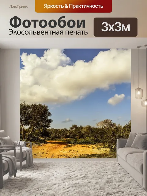 Фотообои Роща