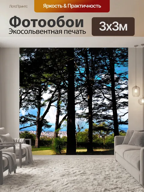 Фотообои Галисия