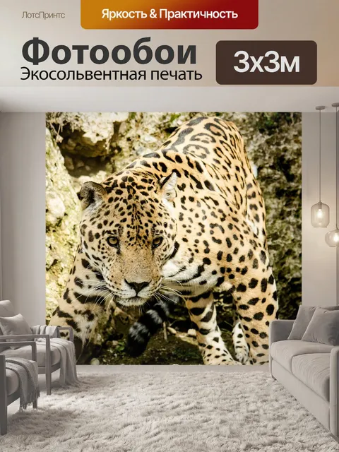 Фотообои Ягуар