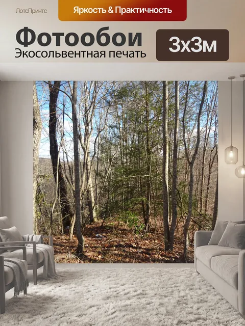 Фотообои Лес