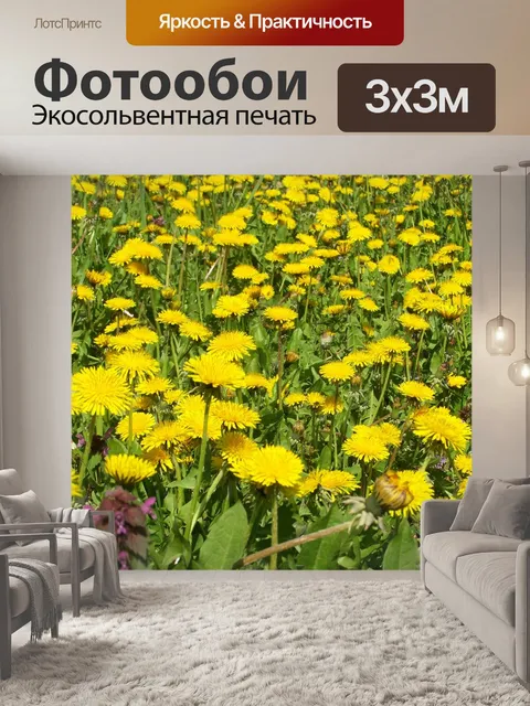 Фотообои Халат одуванчик