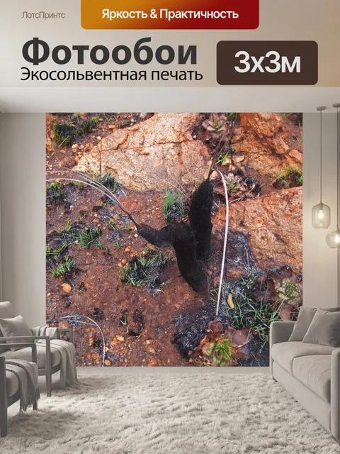 Фотообои черная лилия