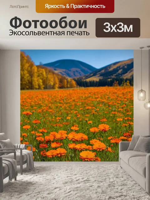 Фотообои оранжевый цвет изображают полевую цветочную поляны
