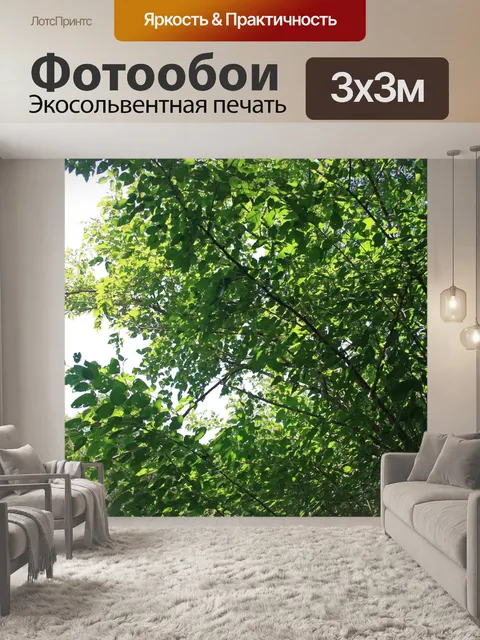Фотообои Листва на полях деревьев