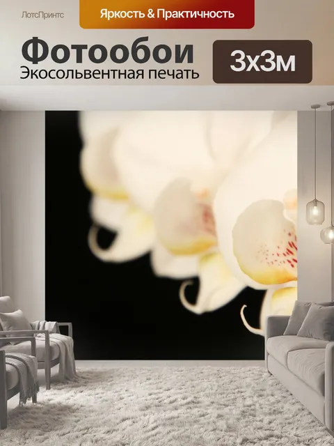Фотообои Орхидеи