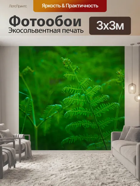 Фотообои папоротник