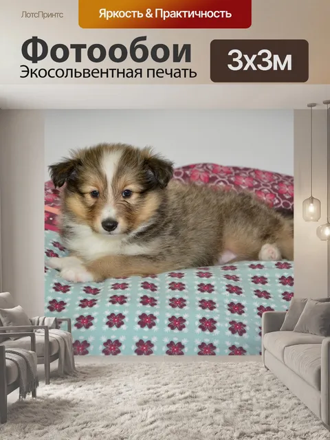 Фотообои Собака