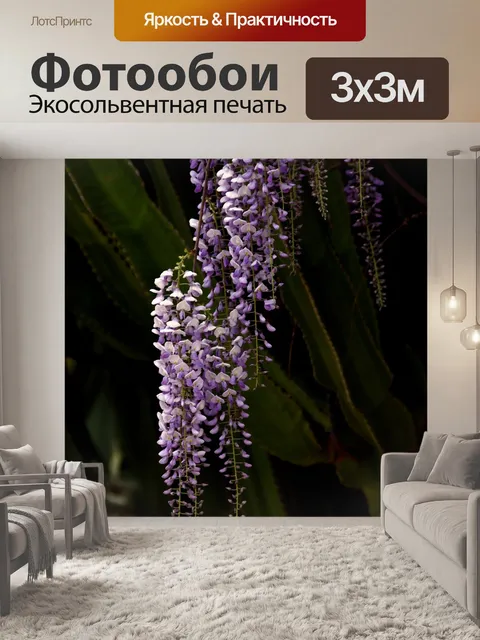 Фотообои Глициния