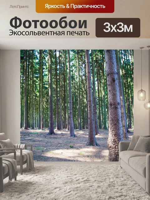 Фотообои лес