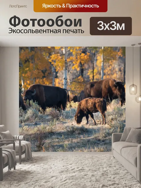 Фотообои Биссоны