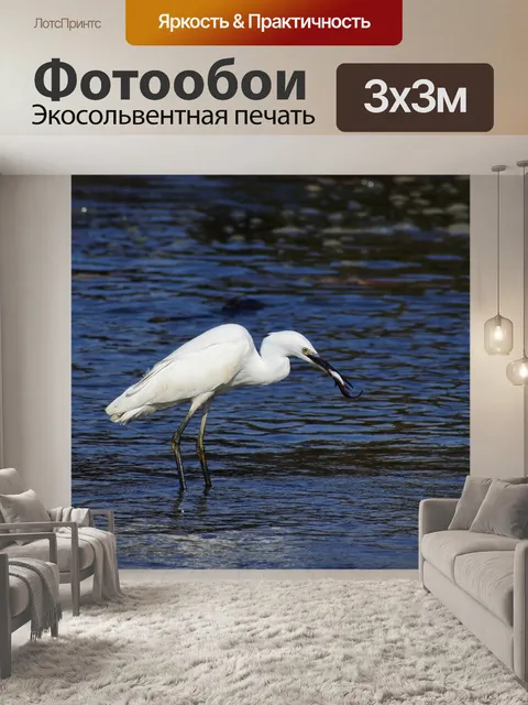 Фотообои Животное