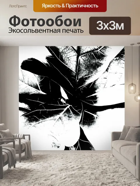 Фотообои Черная и белая поверхность листа