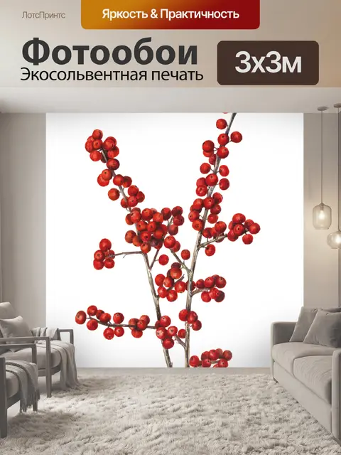 Фотообои Ветка ягод нарисовала искусство