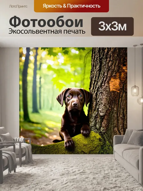 Фотообои щенок шоколадного лабрадора, выглядывающий из-за коры старого дерева, создает атмосферу загадочности