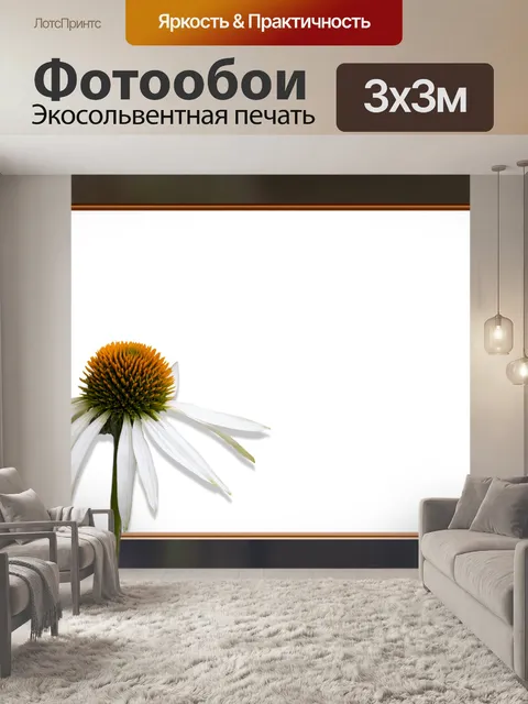 Фотообои Рамка, цветок