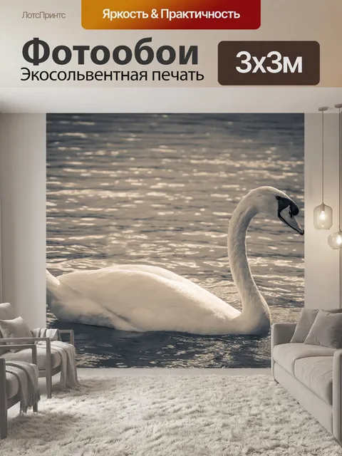 Фотообои Лебедь