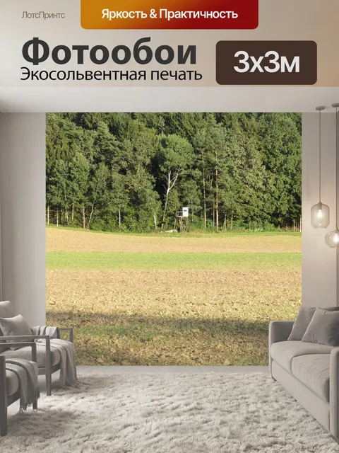 Фотообои Деревья