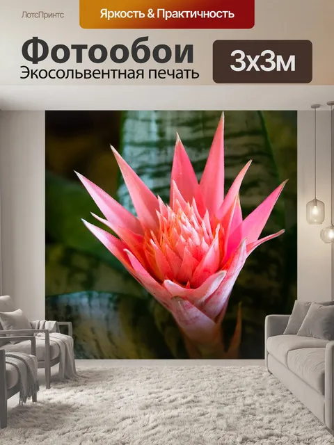 Фотообои Красный цветок