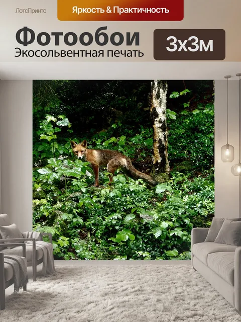 Фотообои Лиса