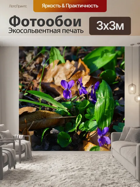 Фотообои Лесные фиалки
