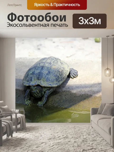Фотообои Черепаха