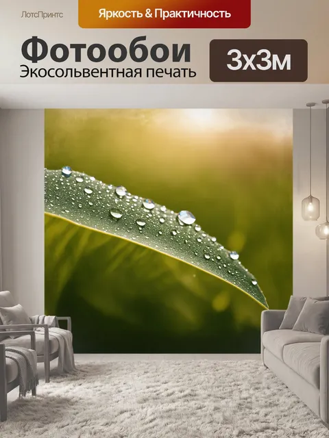 Фотообои капли воды, будто кристаллы, застыли на гладкой поверхности зеленого листа