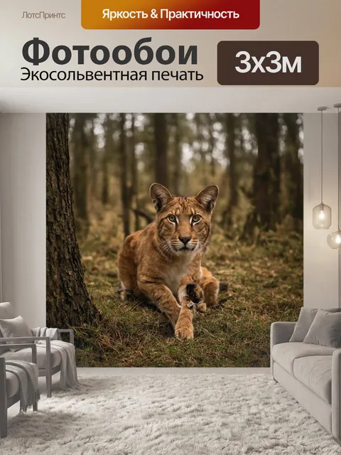 Фотообои камень, revealing the intricate network of roots entwined with stones in an ancient forest, symbolizing the…
