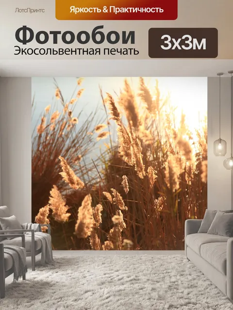 Фотообои Отражение