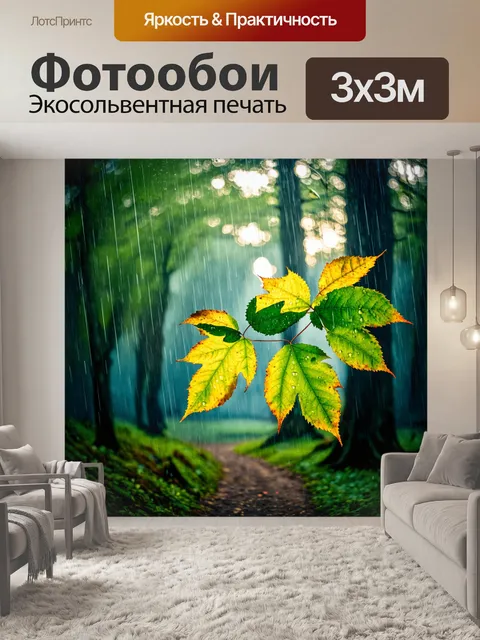 Фотообои вечерний дождь, когда капли падают на листву и создают мелодичный звук