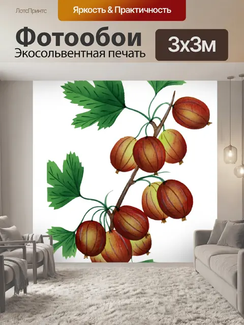 Фотообои Винтажные художественные фрукты крыжовни