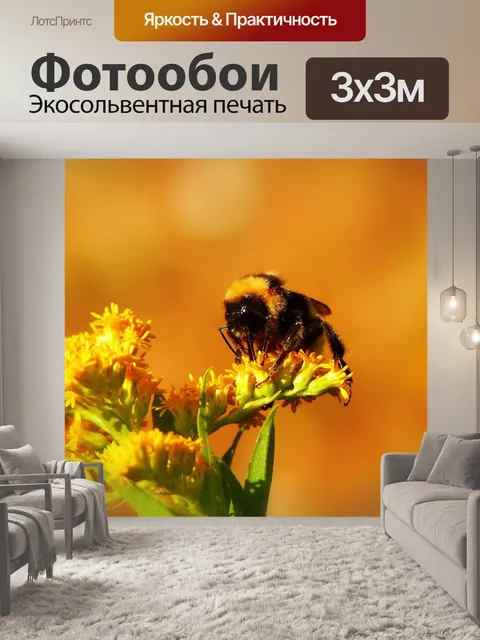 Фотообои Шмель газ