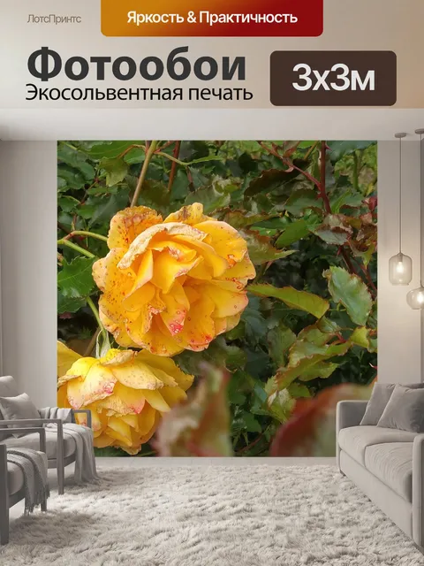 Фотообои Розы