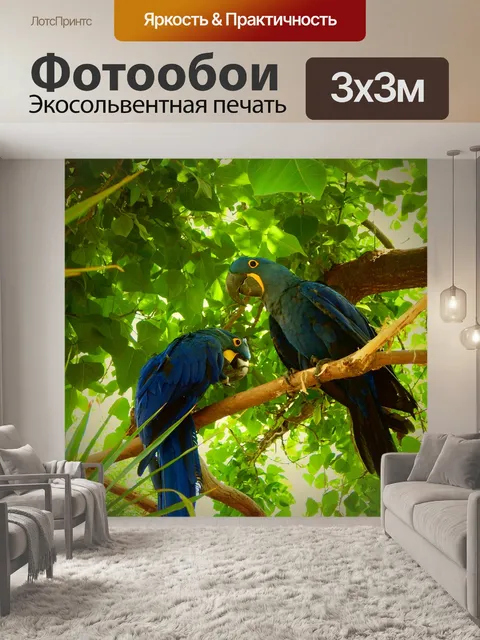 Фотообои Голубые попугайчики