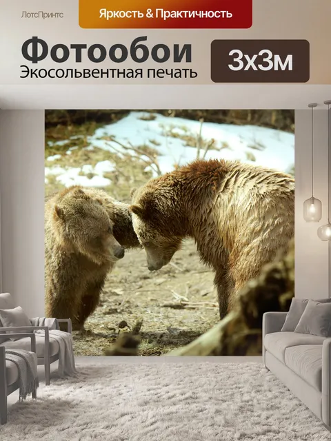 Фотообои Медведи гризли играют 2