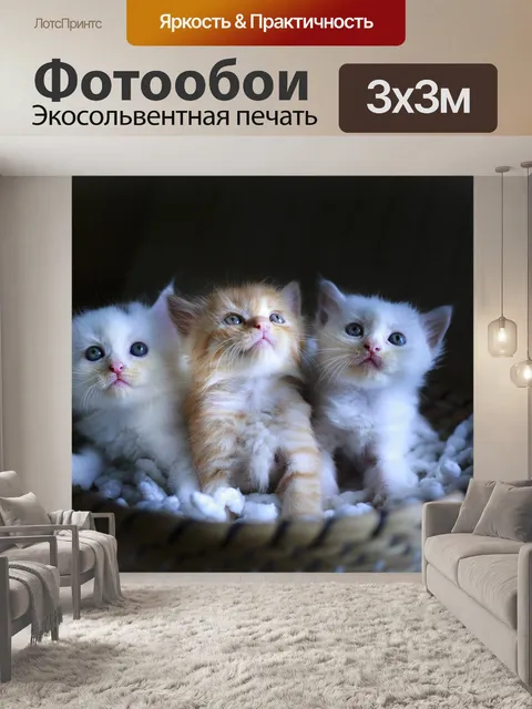 Фотообои Коты