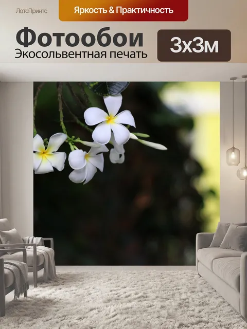 Фотообои Магнолия Белые Цветы