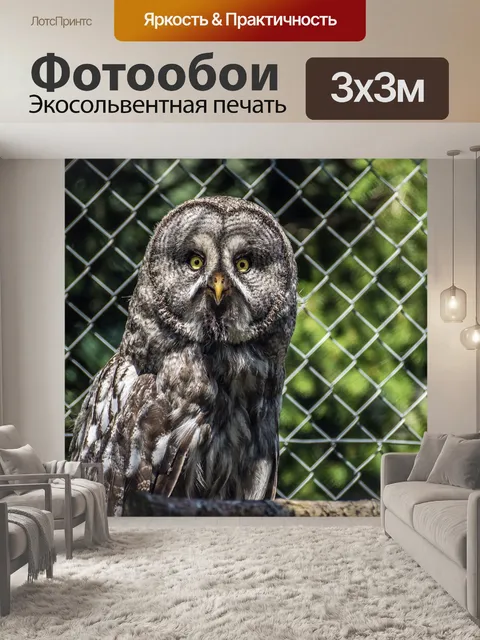 Фотообои Барт сова
