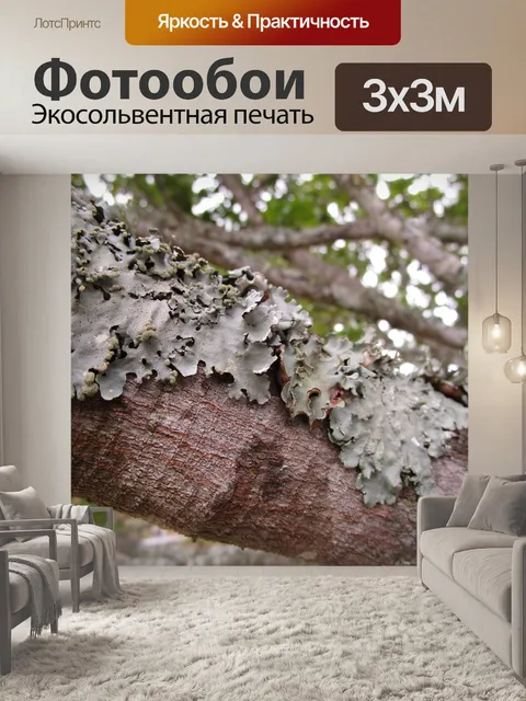 Фотообои Мосс на ветке
